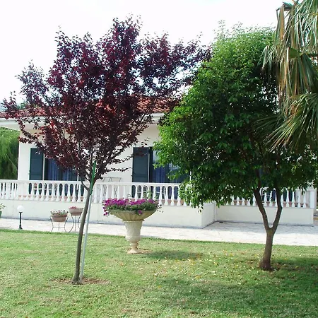Finikes Kefalonia