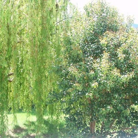 Appartamento Finikes Kefalonia