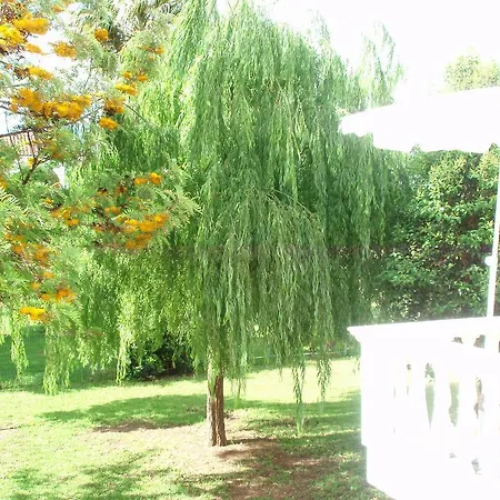 Finikes Kefalonia سامي