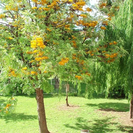 شقة Finikes Kefalonia سامي