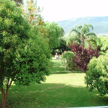 Finikes Kefalonia Sami (Kefalonia)
