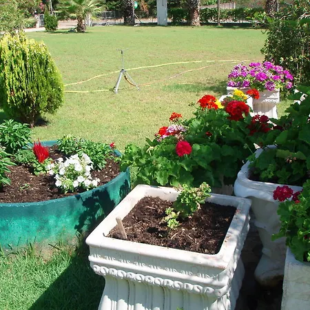 Appartement Finikes Kefalonia