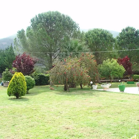 Finikes Kefalonia Sami (Kefalonia)